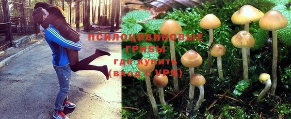 дурь Куйбышев